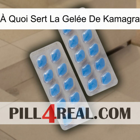 À Quoi Sert La Gelée De Kamagra 23.jpg